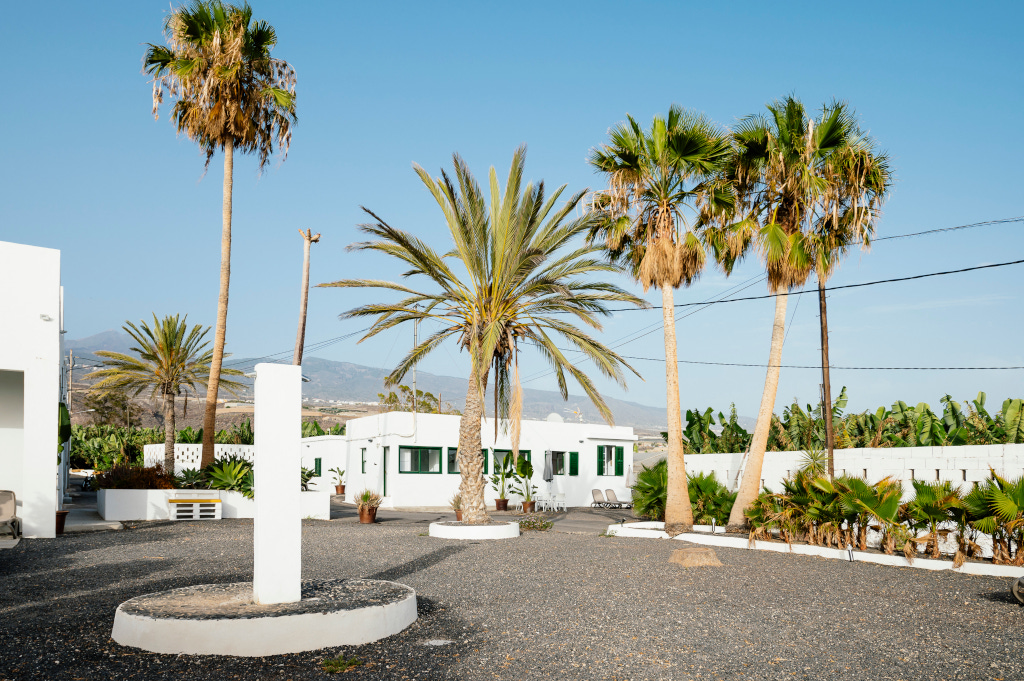 Palmbomen en witte huizen in een zonnige binnenplaats op Tenerife.