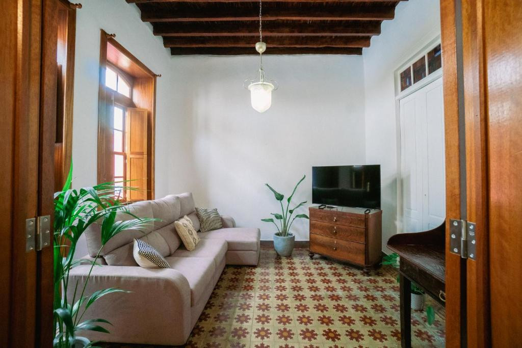 Woonkamer met bank, planten, televisie en plafond met balken op Tenerife.
