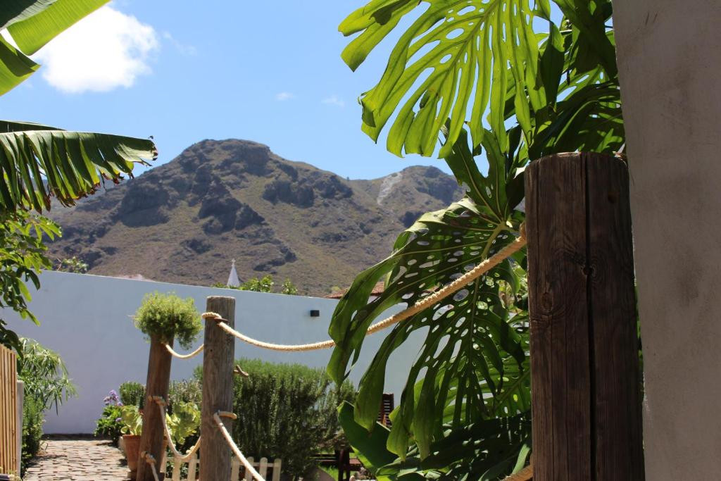 Tropische planten en berguitzicht op Tenerife.