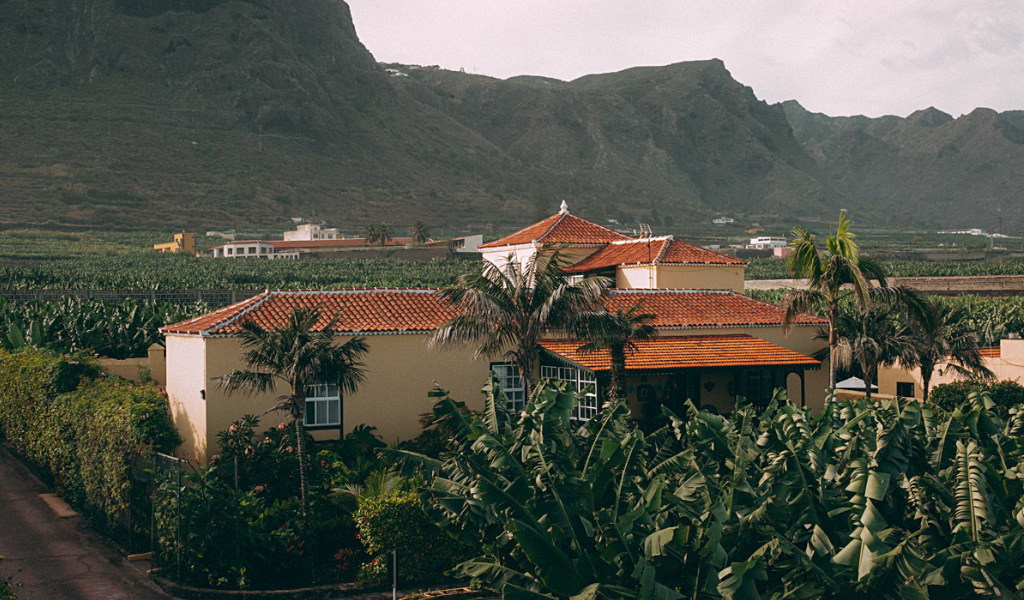 Huis omringd door bananenbomen in een bergachtig landschap op Tenerife.