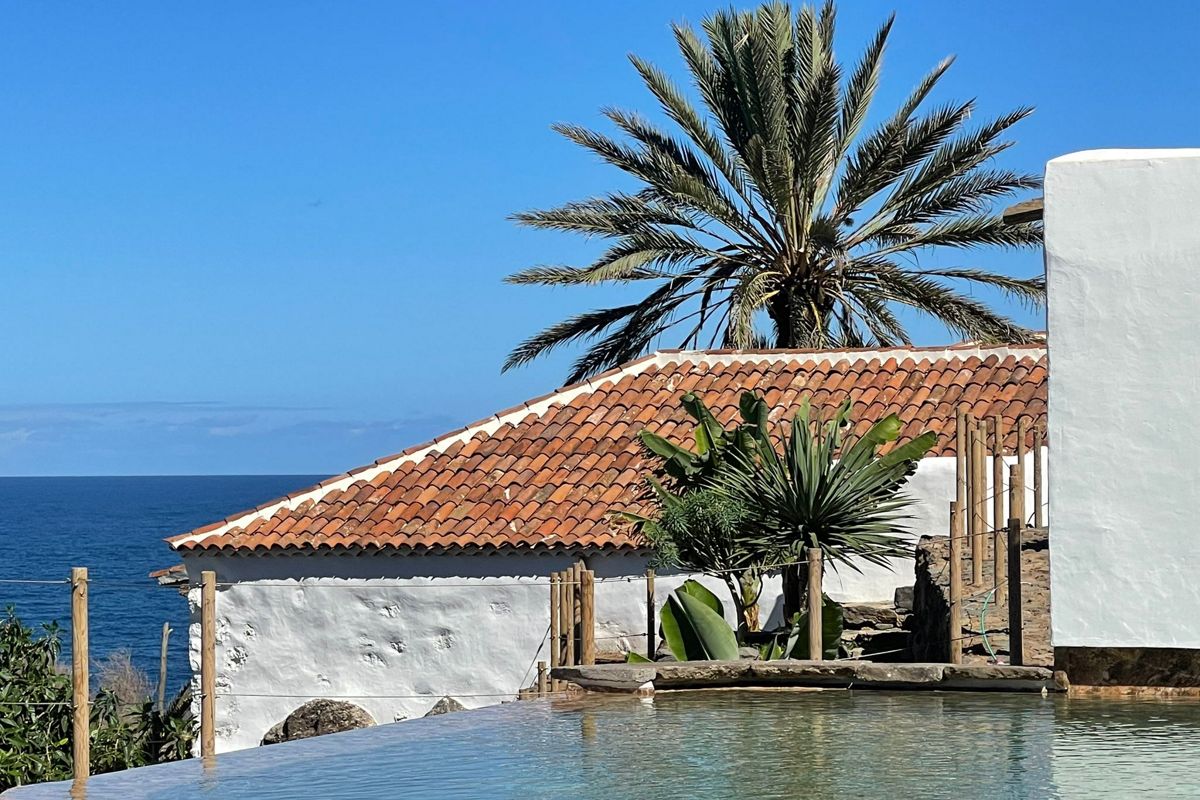 Dakpannendak en palmboom aan zee in Garachico, Tenerife.