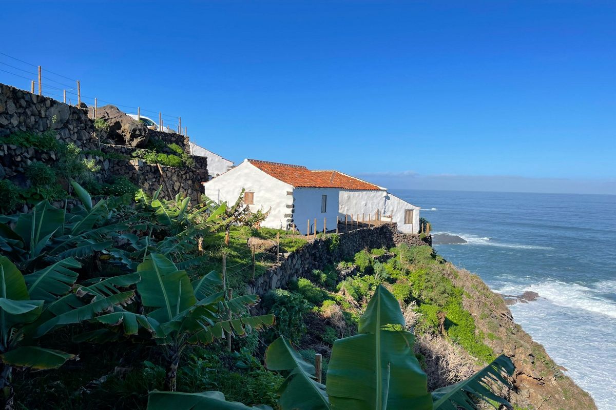Wit huis op de klif aan de oceaan, Tenerife. Bananenplanten op de voorgrond.