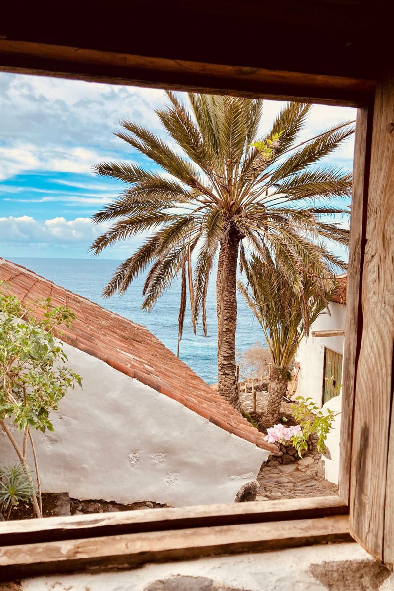 Dak van een huis met palmboom en uitzicht op zee op Tenerife.