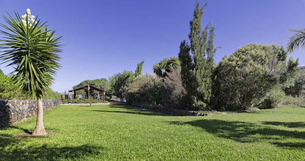 Tuin met gazon en bomen in een zonovergoten park op Tenerife.