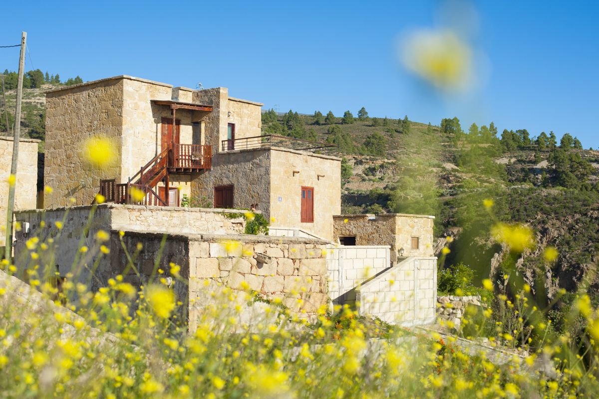 Stenen huis omringd door gele bloemen in een bergachtig landschap op Tenerife.