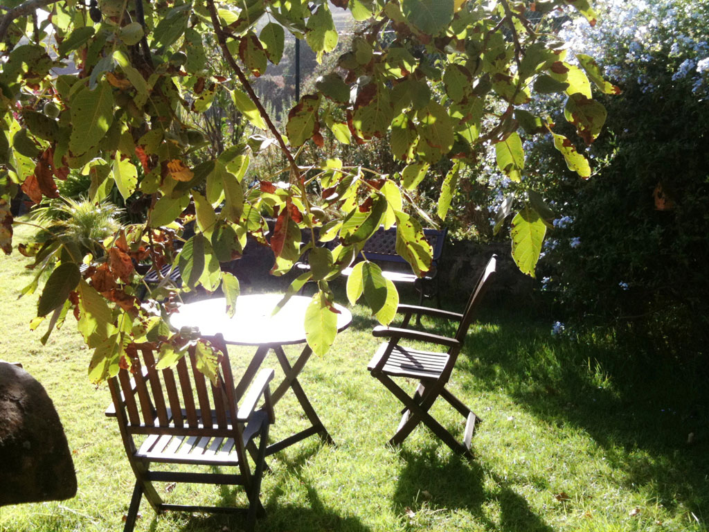 Houten tafel en stoelen onder een boom in een tuin op Tenerife.