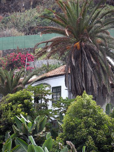 galeria1.gif
