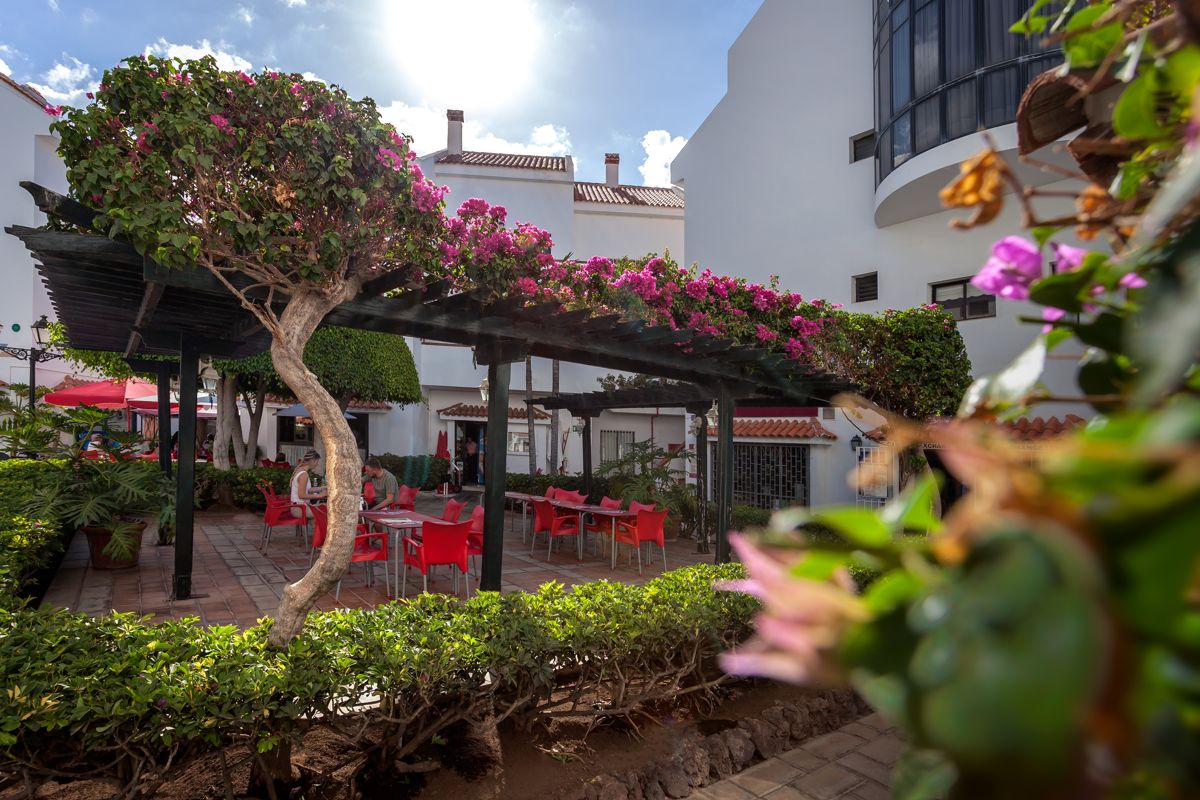 Patio met rode tafels en bloemenpergola op Tenerife.