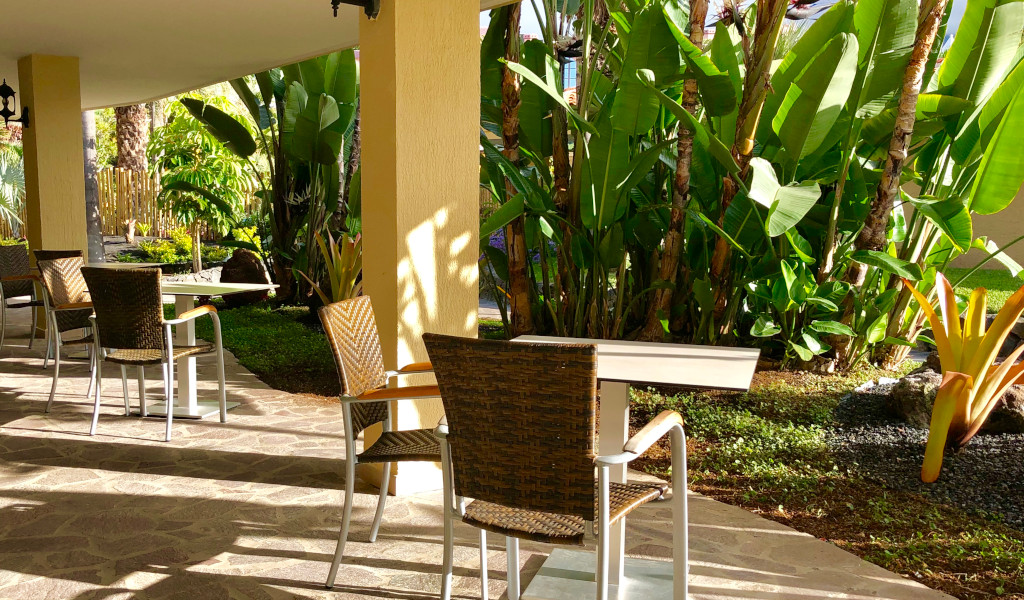 Terras met tafels en stoelen omringd door planten in een tuin op Tenerife.
