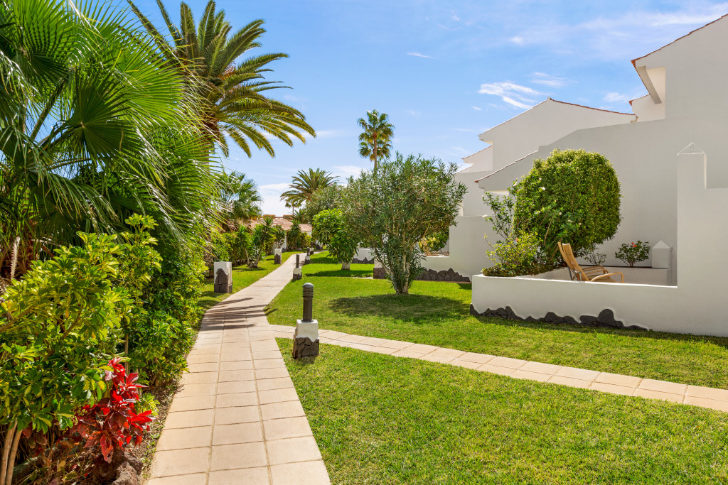 Pad omringd door palmbomen en groen in een tuin op Tenerife.
