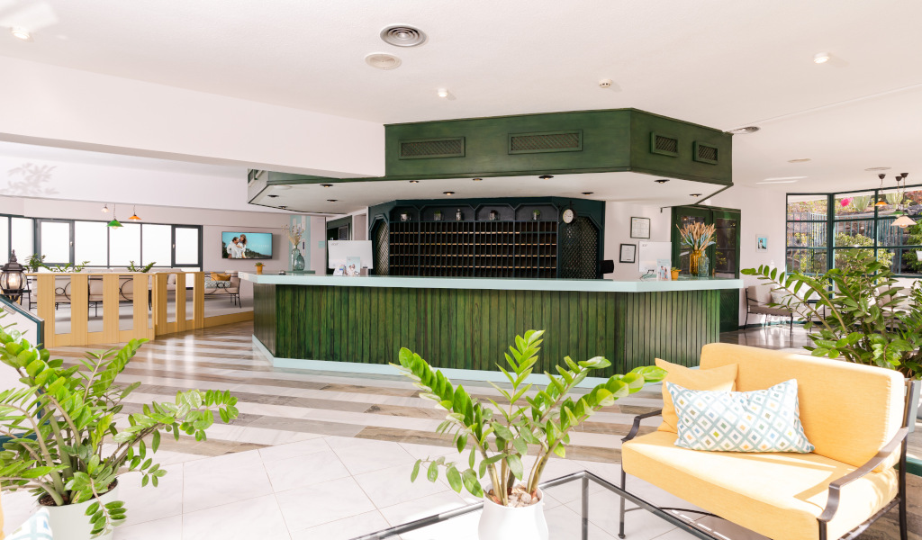 Ontvangst van het hotel op Tenerife met een groene toonbank en decoratieve planten.