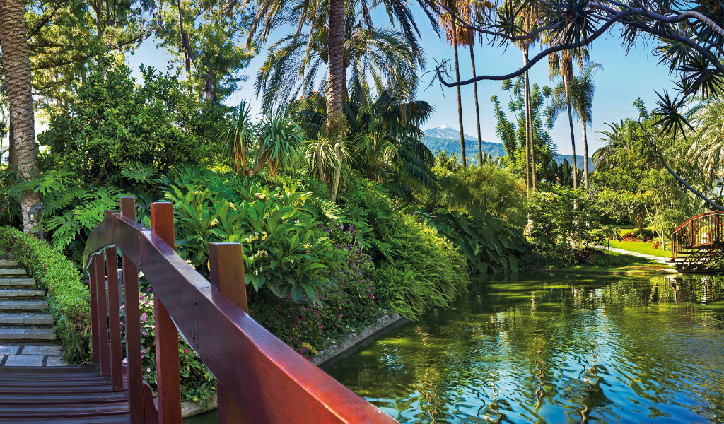 Houten brug over een vijver met palmbomen en vegetatie op Tenerife.