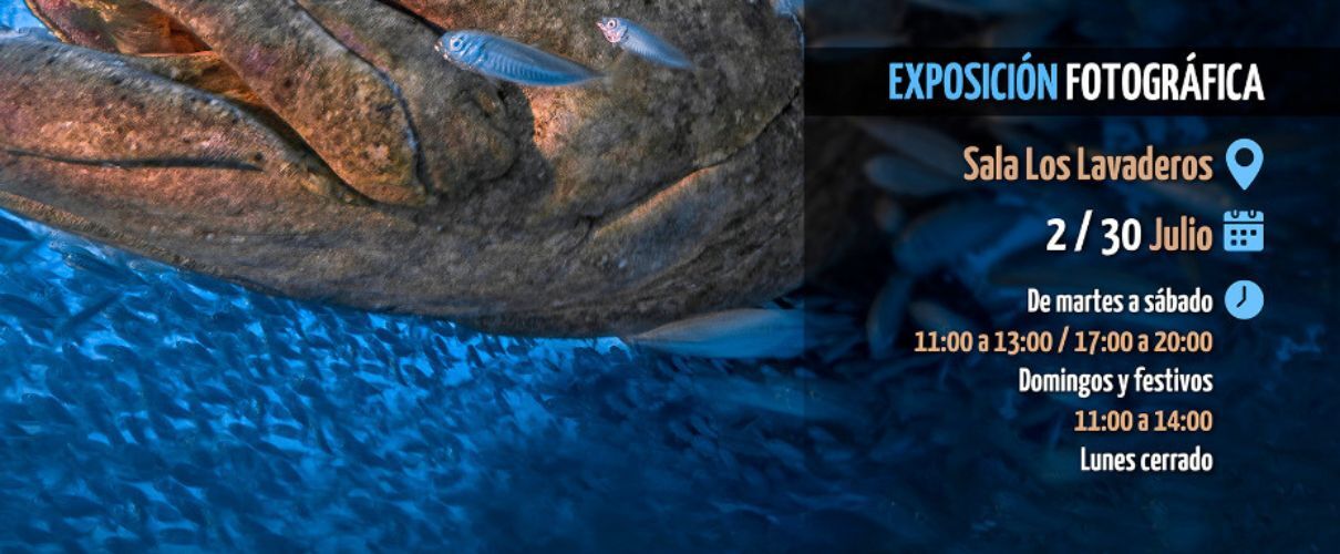 Fototentoonstelling CIMASUB 