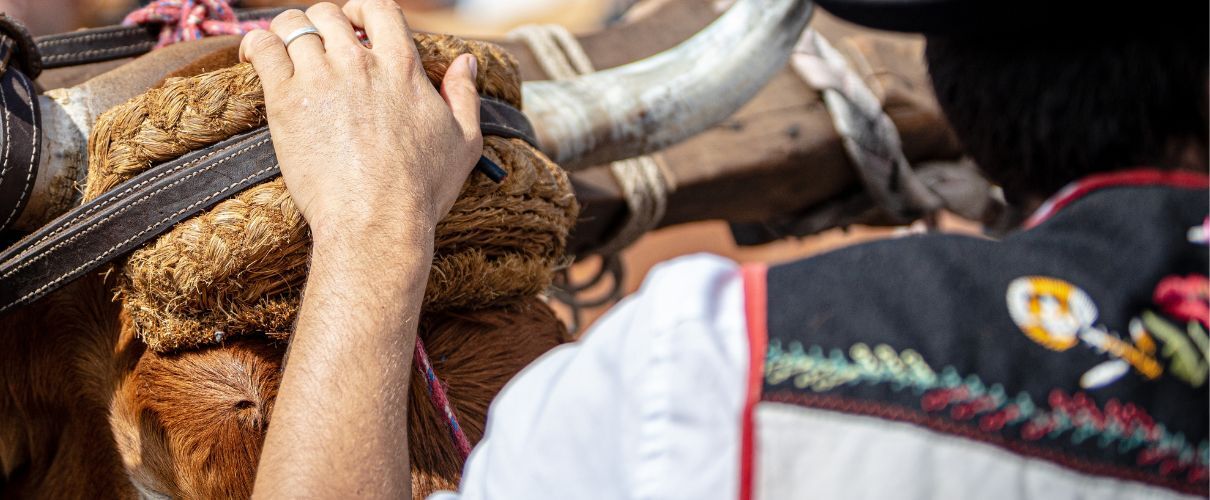 Bedevaart van San Roque