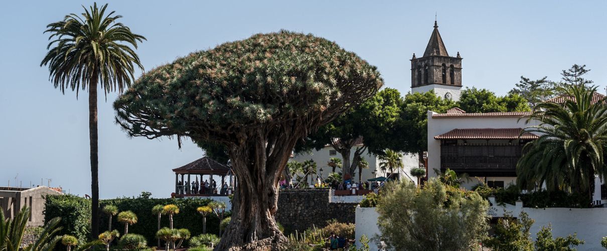  Sint Andreas feesten in Icod 