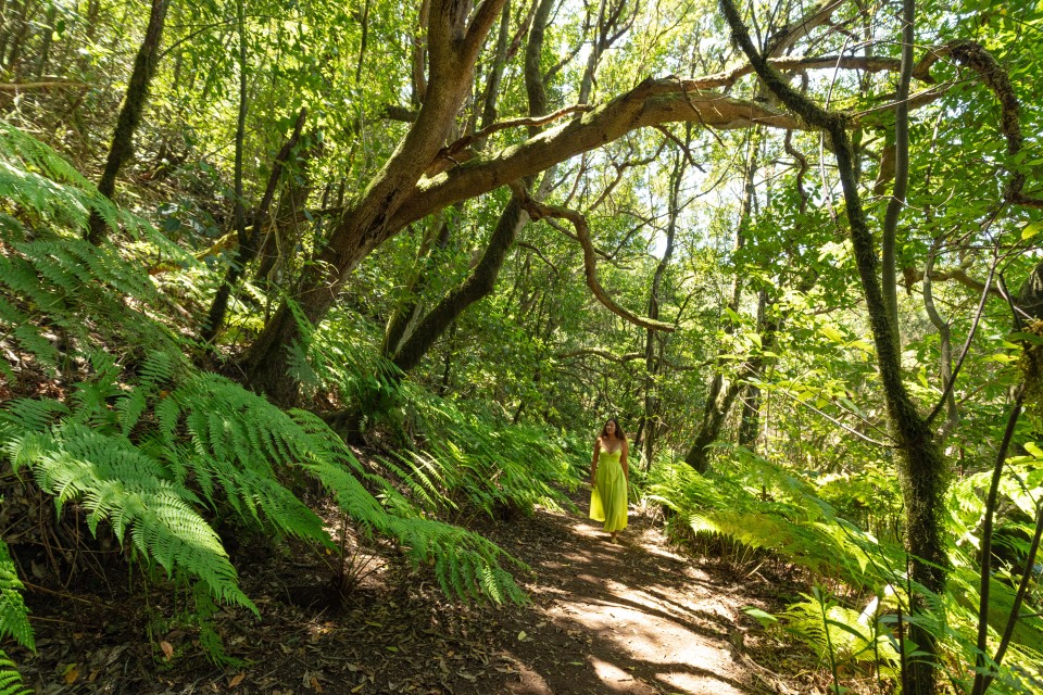 Must-visit places in Tenerife