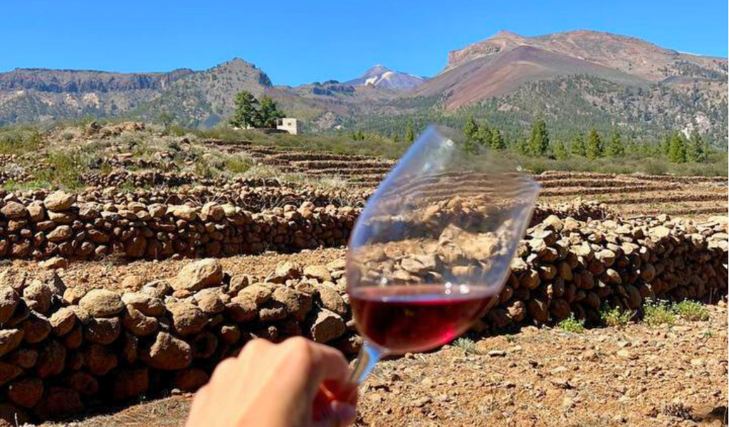 Glas rode wijn voor een bergachtig landschap op Tenerife.