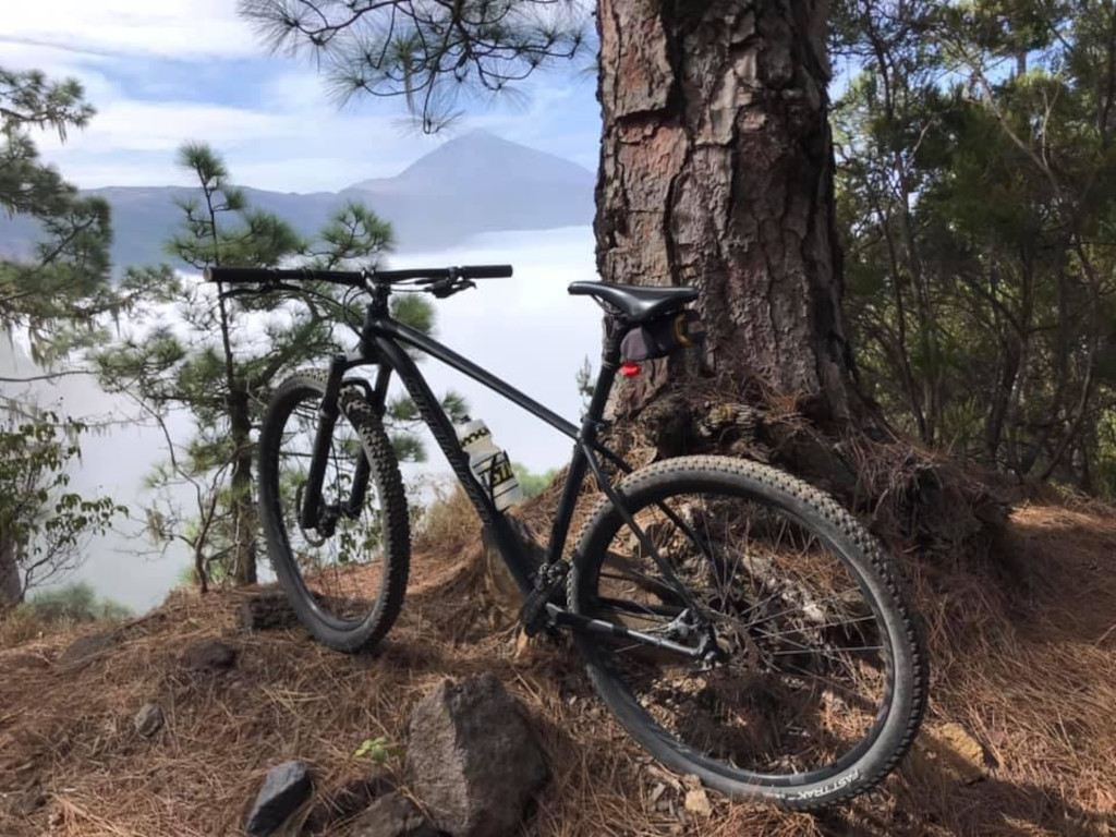 Mountainbiken naast een boom met een bergachtig landschap op Tenerife.
