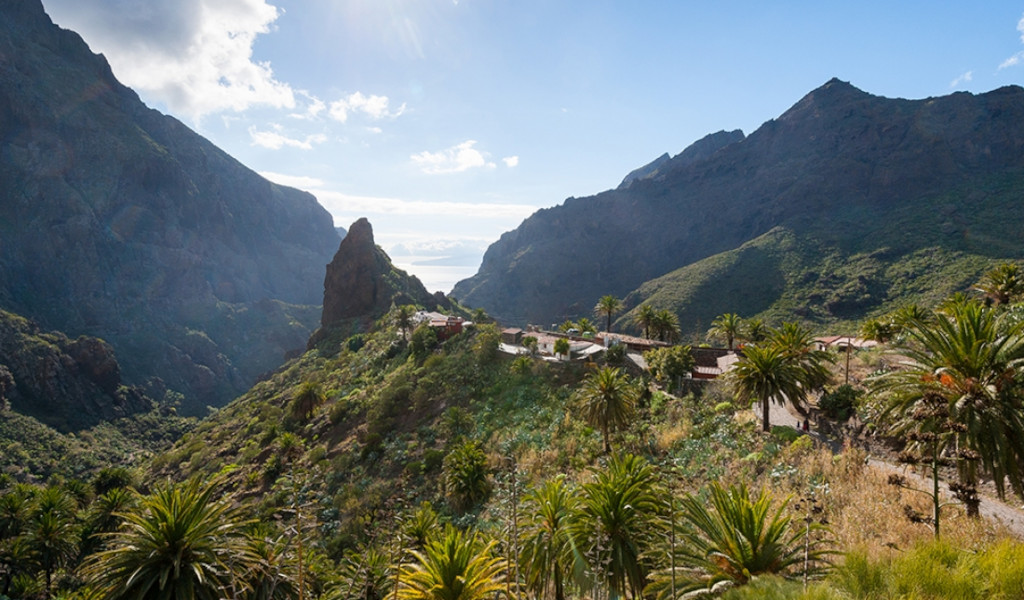 Vallei en dorp in Masca, Tenerife, omgeven door bergen en vegetatie.