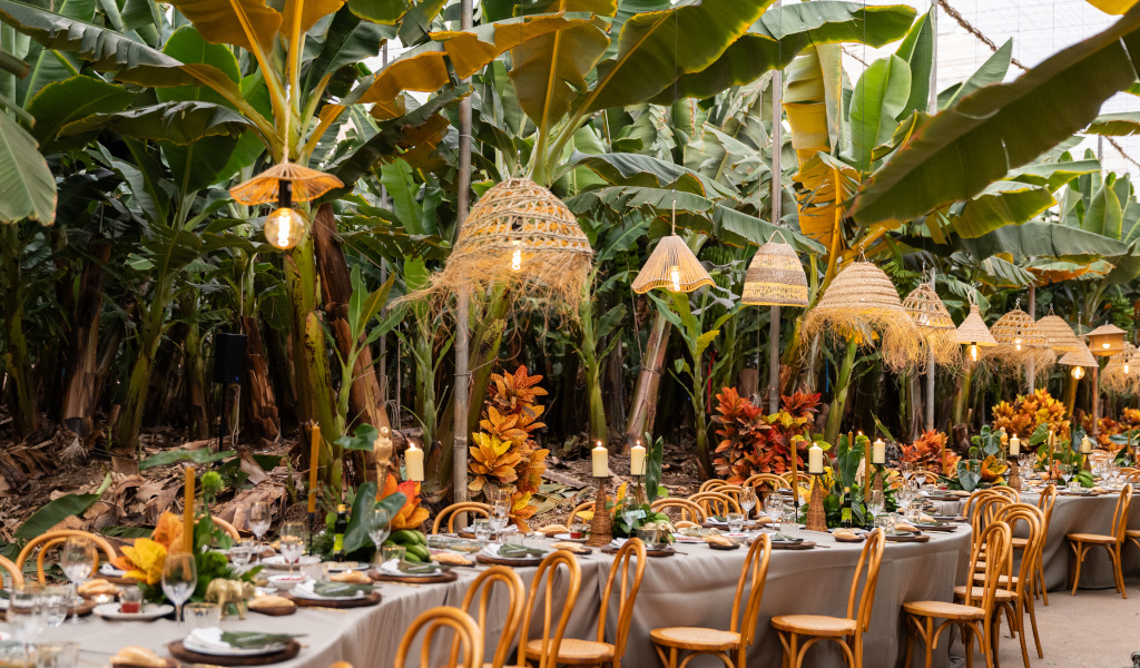 Lange tafel versierd met stoelen en hanglampen tussen bananenbomen op Tenerife.