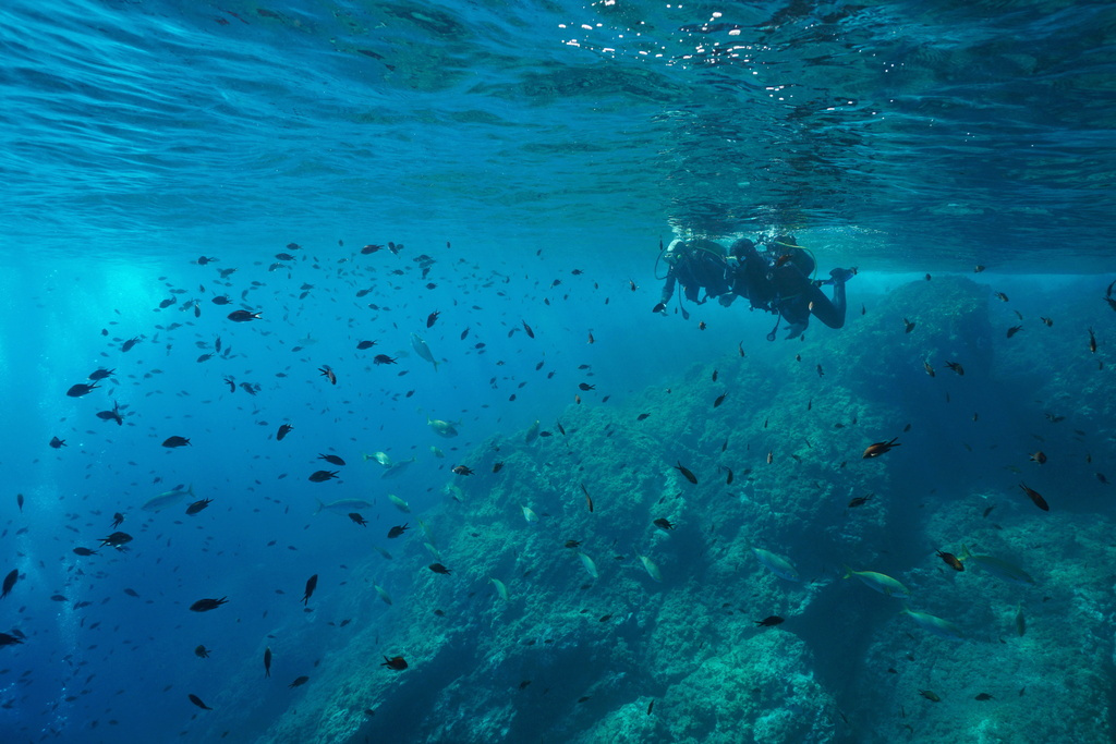 Duikers tussen vissen op een onderwaterrif op Tenerife.