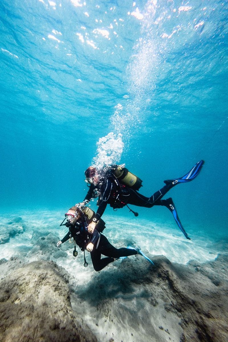 Duikers die de zeebodem op Tenerife verkennen.