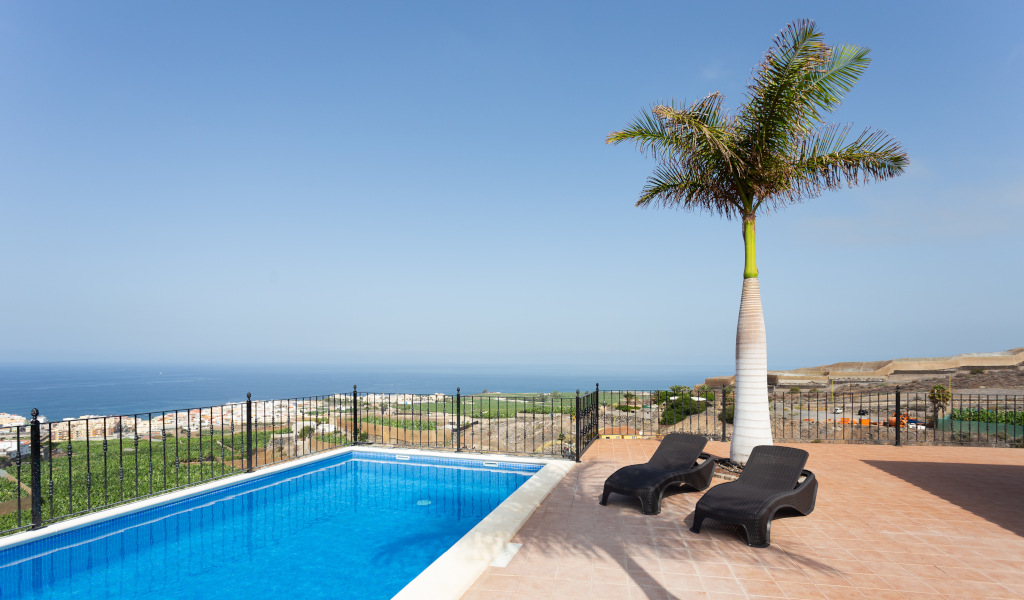 Zwembad met uitzicht op zee en ligstoelen op Tenerife onder een palmboom.