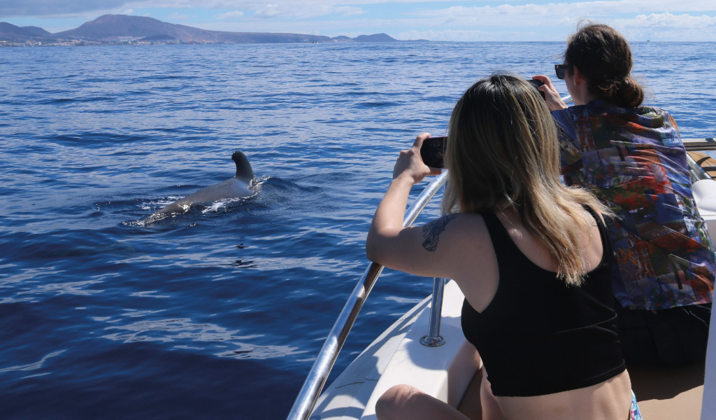 Mensen die walvissen fotograferen in de zee nabij de kust van Tenerife.