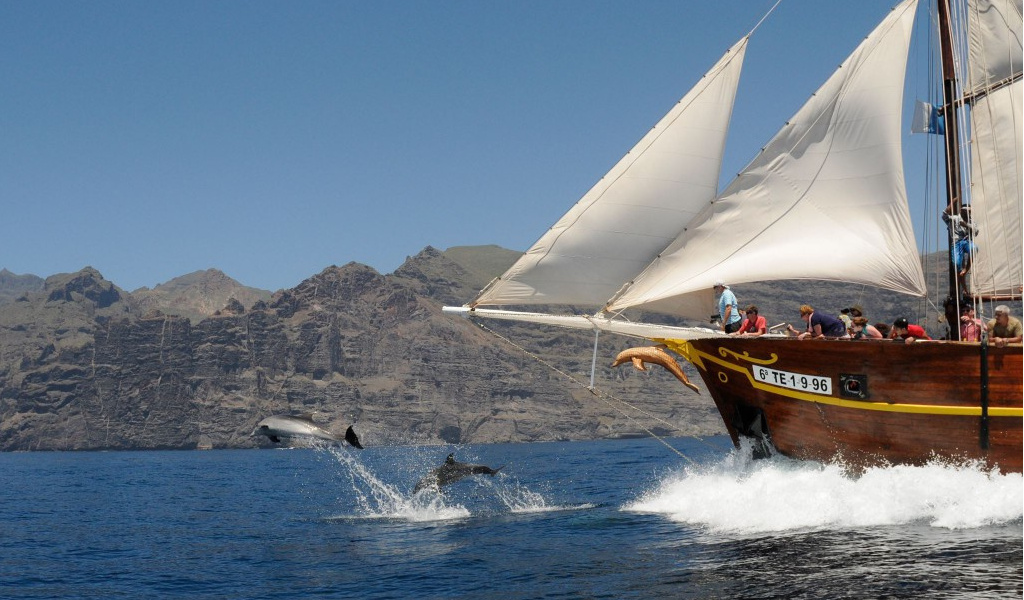 Zeilboot bij de kliffen van Los Gigantes op Tenerife met dolfijnen die springen.