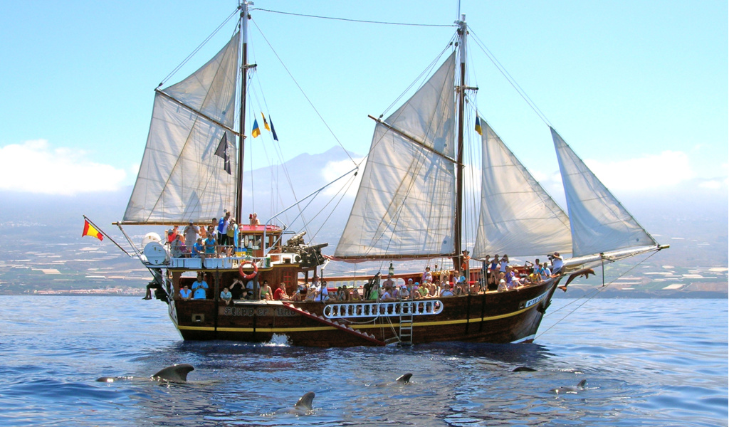 Toeristische zeilboot op zee met dolfijnen in de wateren van Tenerife.