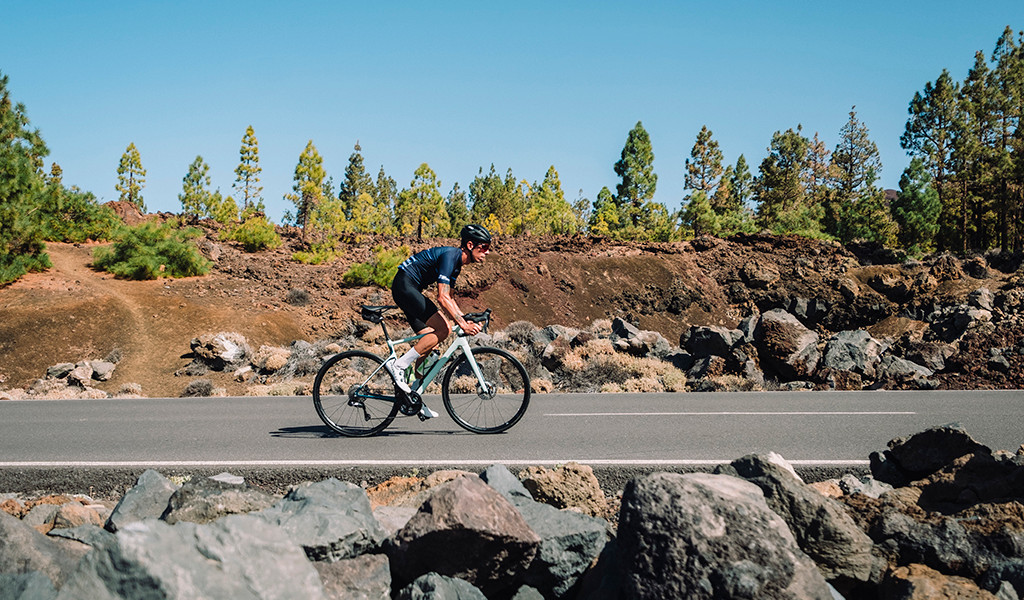 Fietser op een weg omringd door bomen en rotsen op Tenerife.