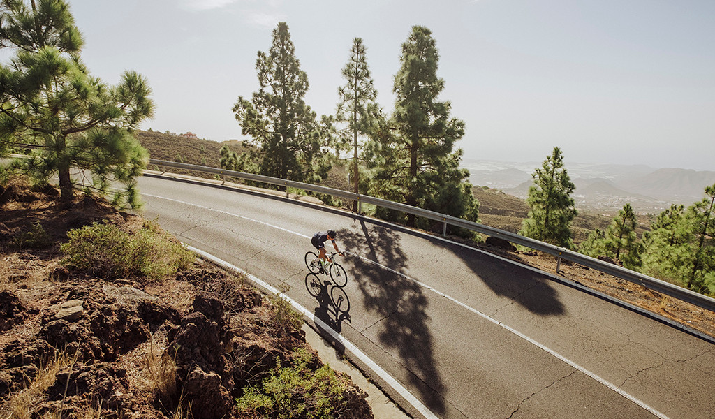 Fietser die een weg afdaalt op Tenerife tussen dennenbomen en bergachtig landschap.