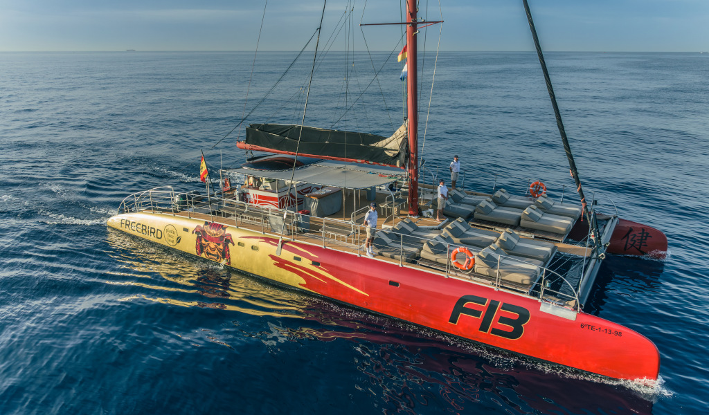 Freebird-katamaran die op zee vaart op Tenerife.