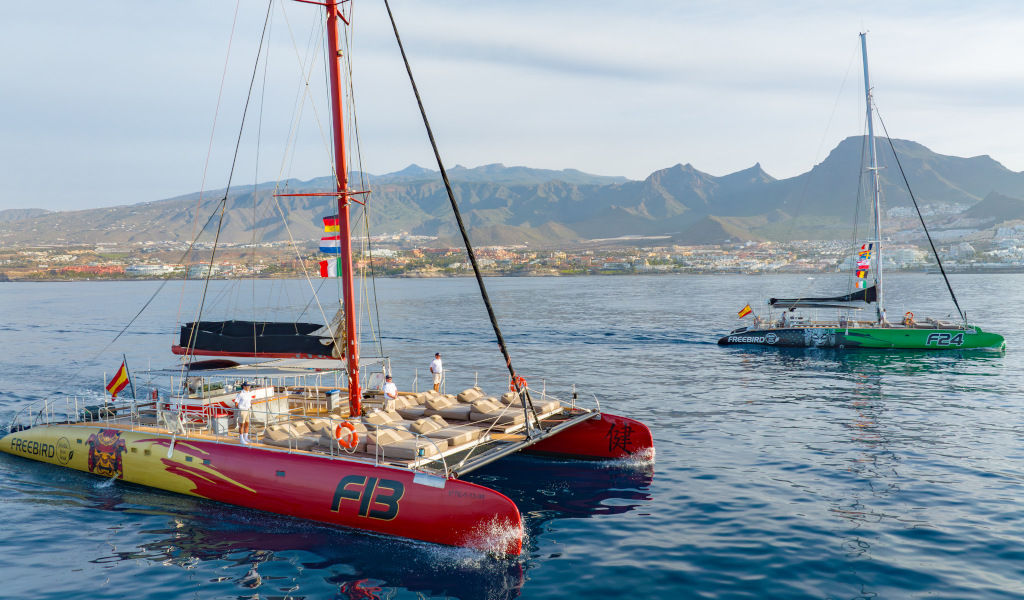 Twee catamarans die voor de kust van Tenerife varen, met bergen op de achtergrond.