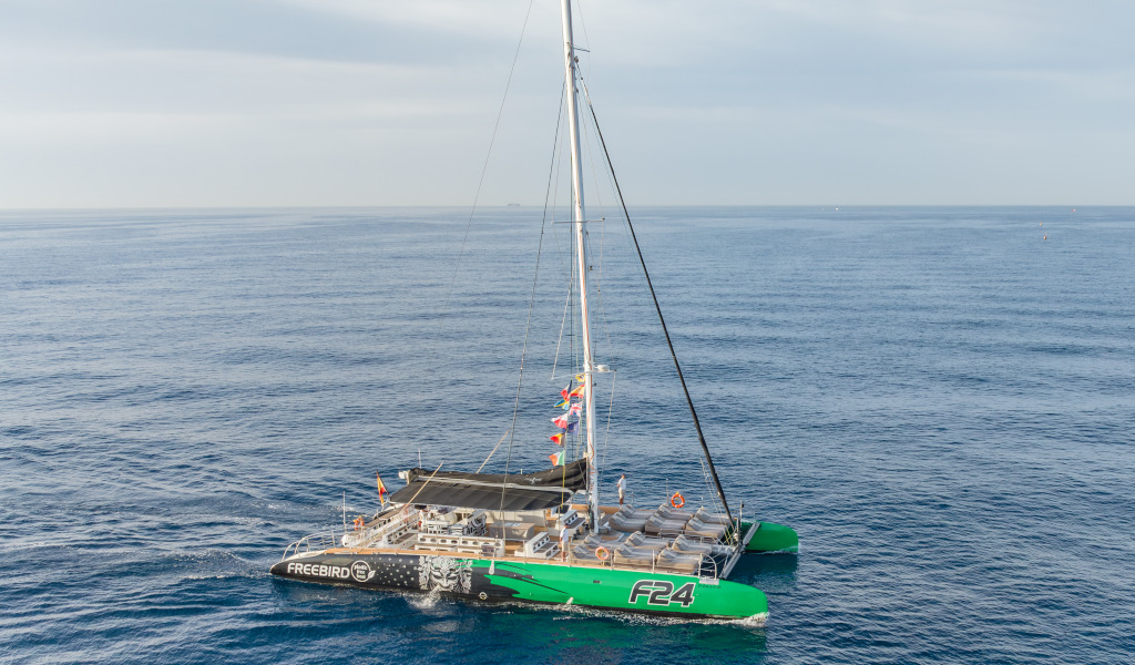 Catamaran zeilt op de oceaan nabij Tenerife, met zeilen en kleurrijke vlaggen.