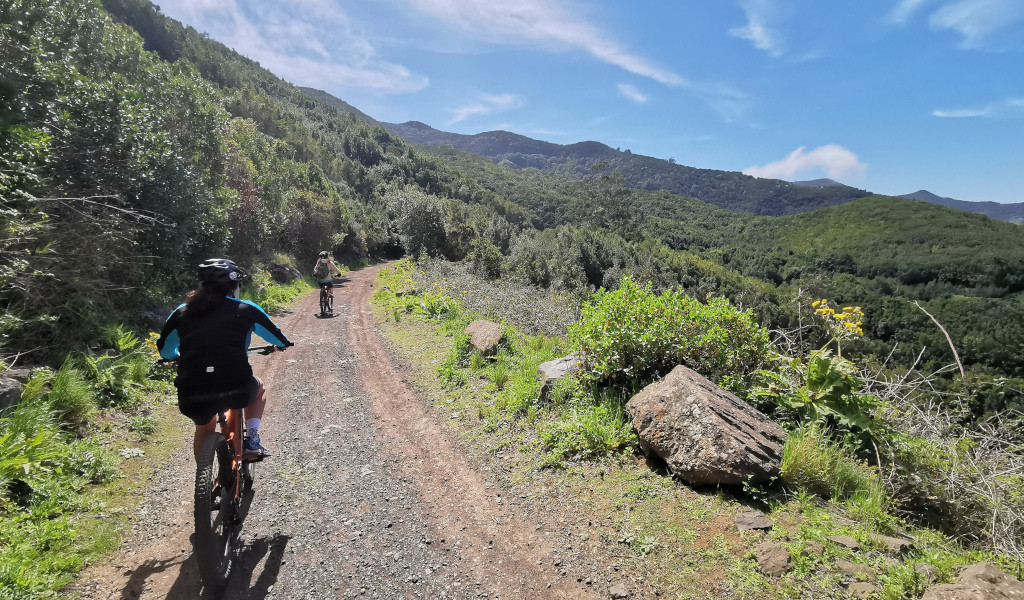 Fietsers op een bergachtig pad omringd door groen op Tenerife.