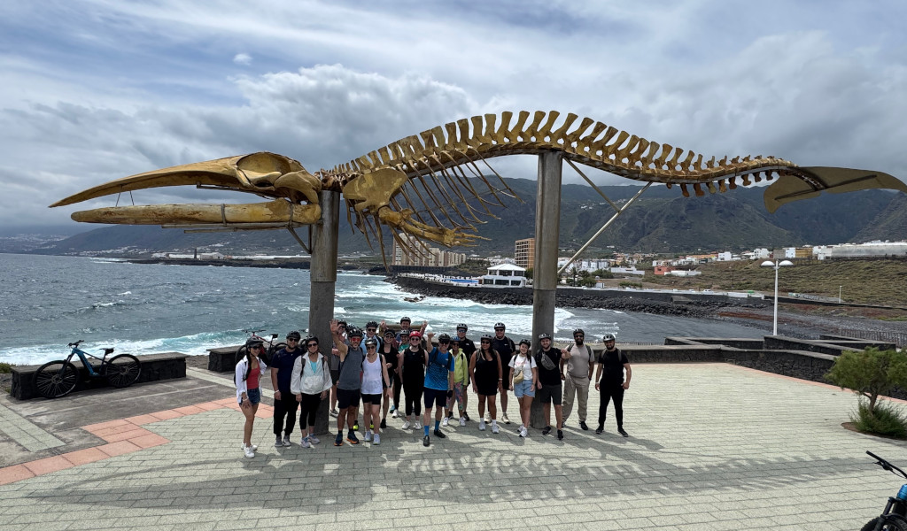 Groep mensen onder een walvisskelet in Puerto de la Cruz, Tenerife.