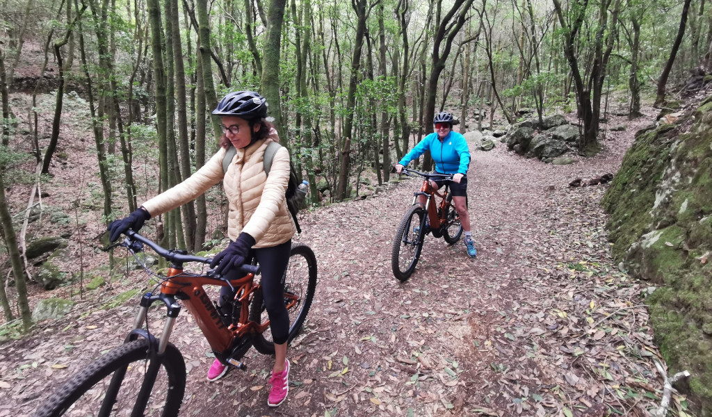 Mensen die mountainbiken op een bospad op Tenerife.