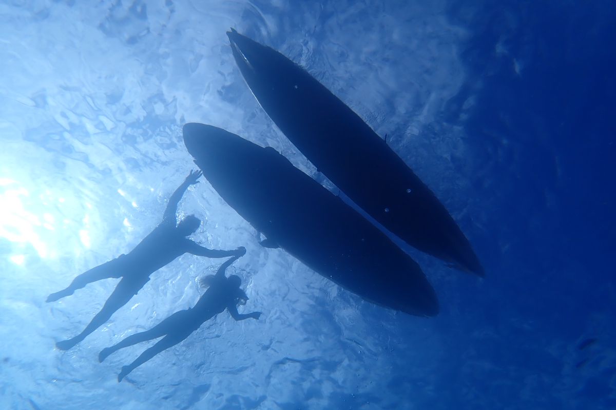 Twee mensen zwemmen onder water naast surfplanken op Tenerife.
