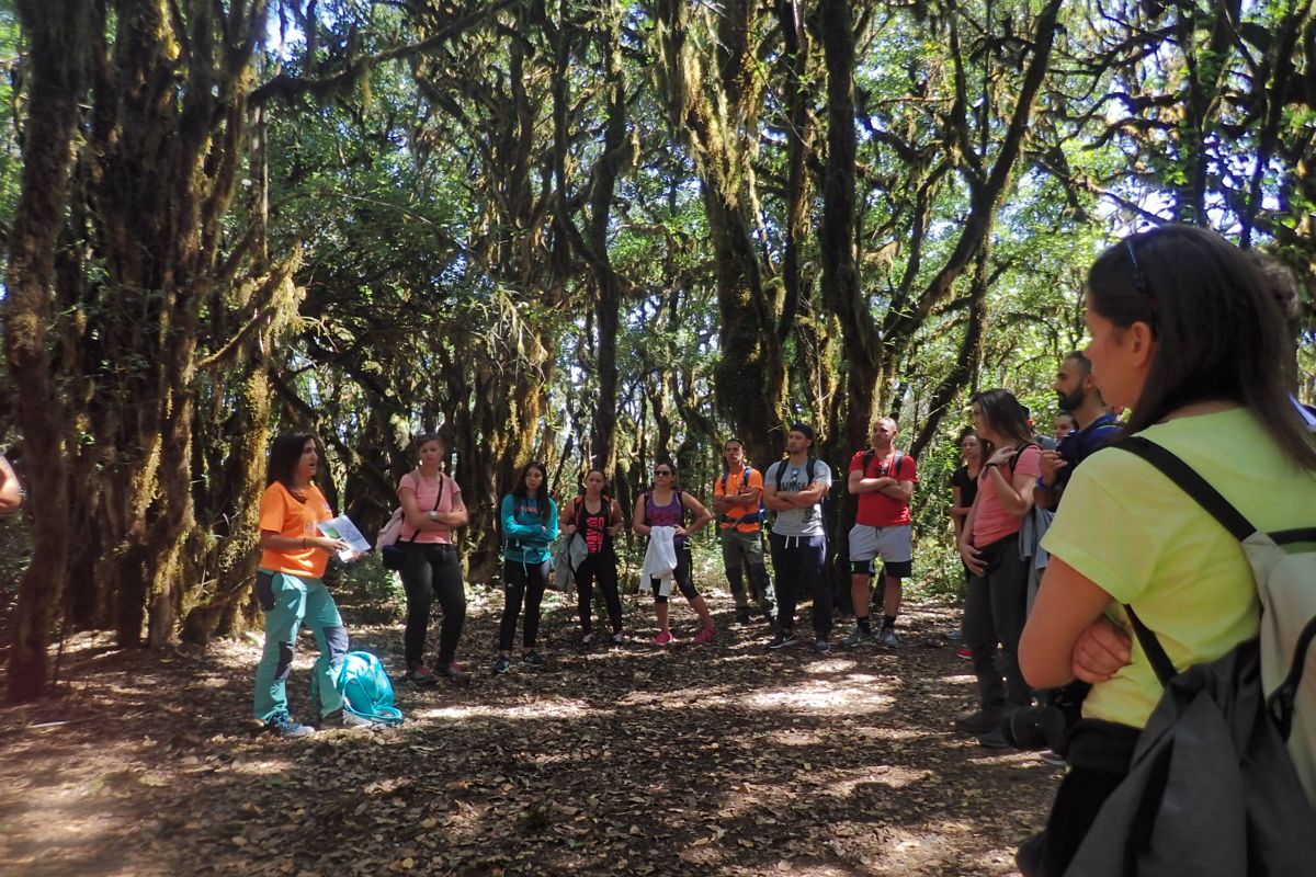 Groep mensen op een rondleiding door een bos in Santa Cruz de Tenerife.