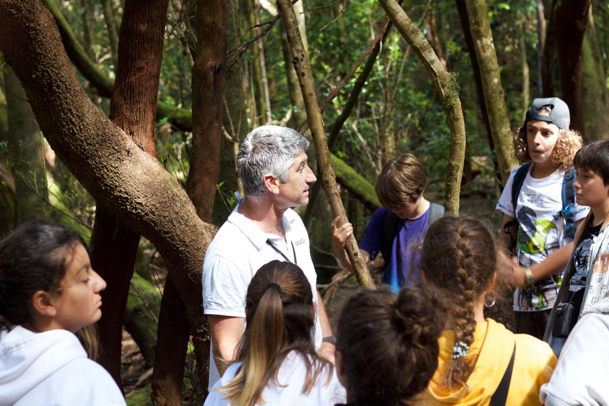 Gids legt flora uit aan een groep kinderen in Anaga, Tenerife.