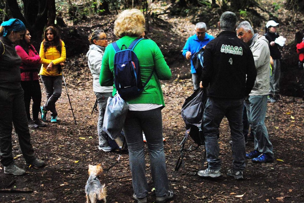 Groep mensen die zich voorbereidt op een wandeling in het bos van Anaga, Tenerife.