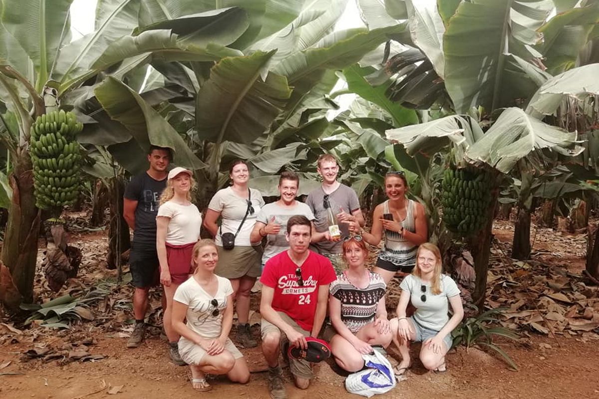 Groep mensen op een bananenplantage op Tenerife.