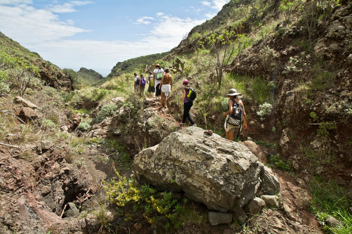 Wandelaars op een bergachtig pad op Tenerife, omringd door vegetatie en rotsen.
