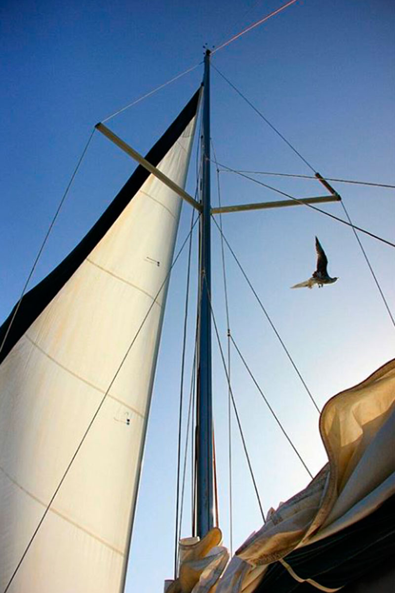 Boot en meeuw varen over de lucht op Tenerife.