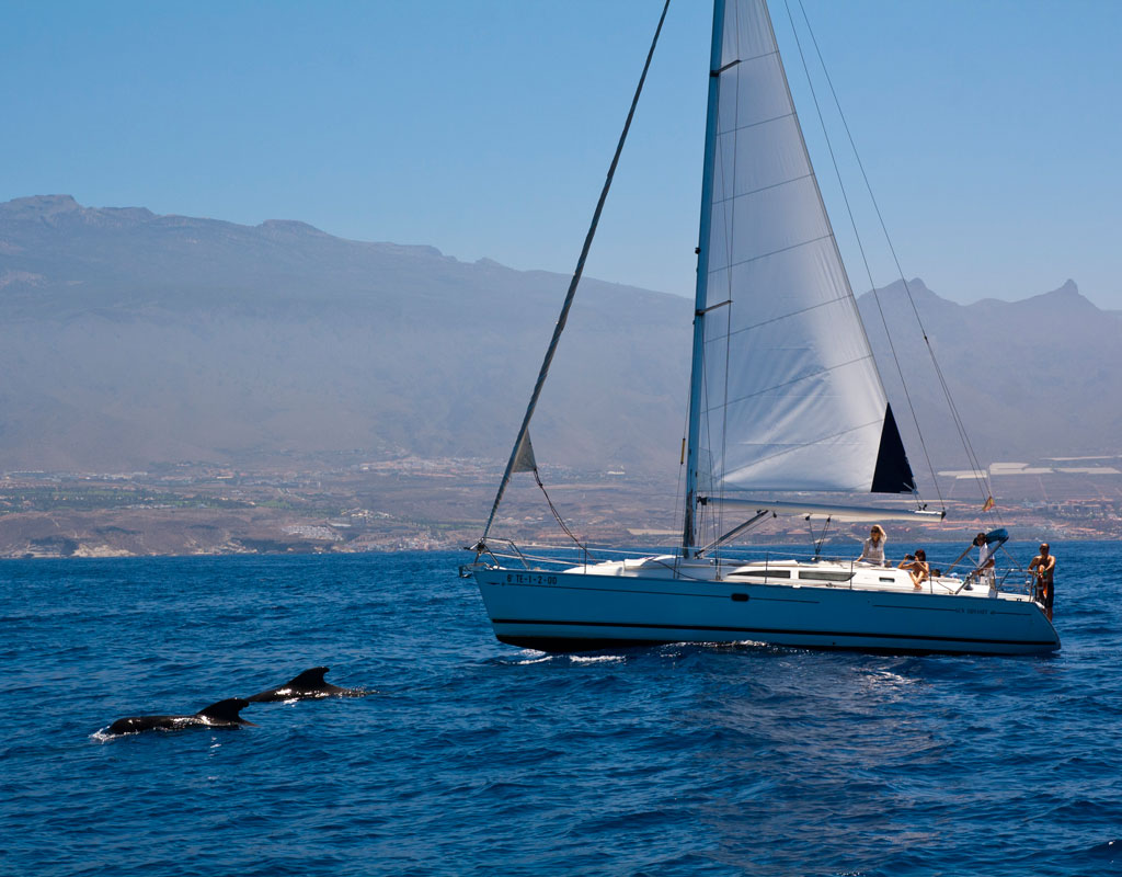 Zeilboot die langs dolfijnen vaart langs de kust van Tenerife.