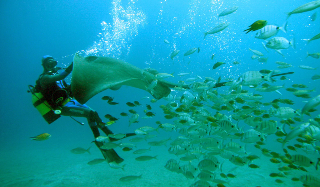 Duiker met manta en vissen zwemmen in het water van Tenerife.