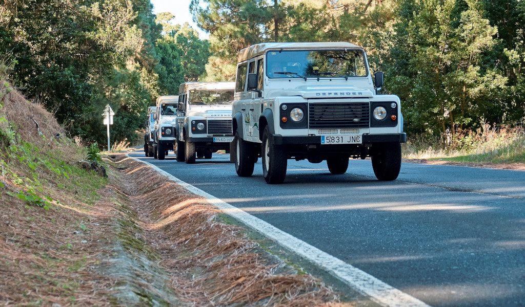Drie Land Rovers rijden over een weg omringd door bos op Tenerife.