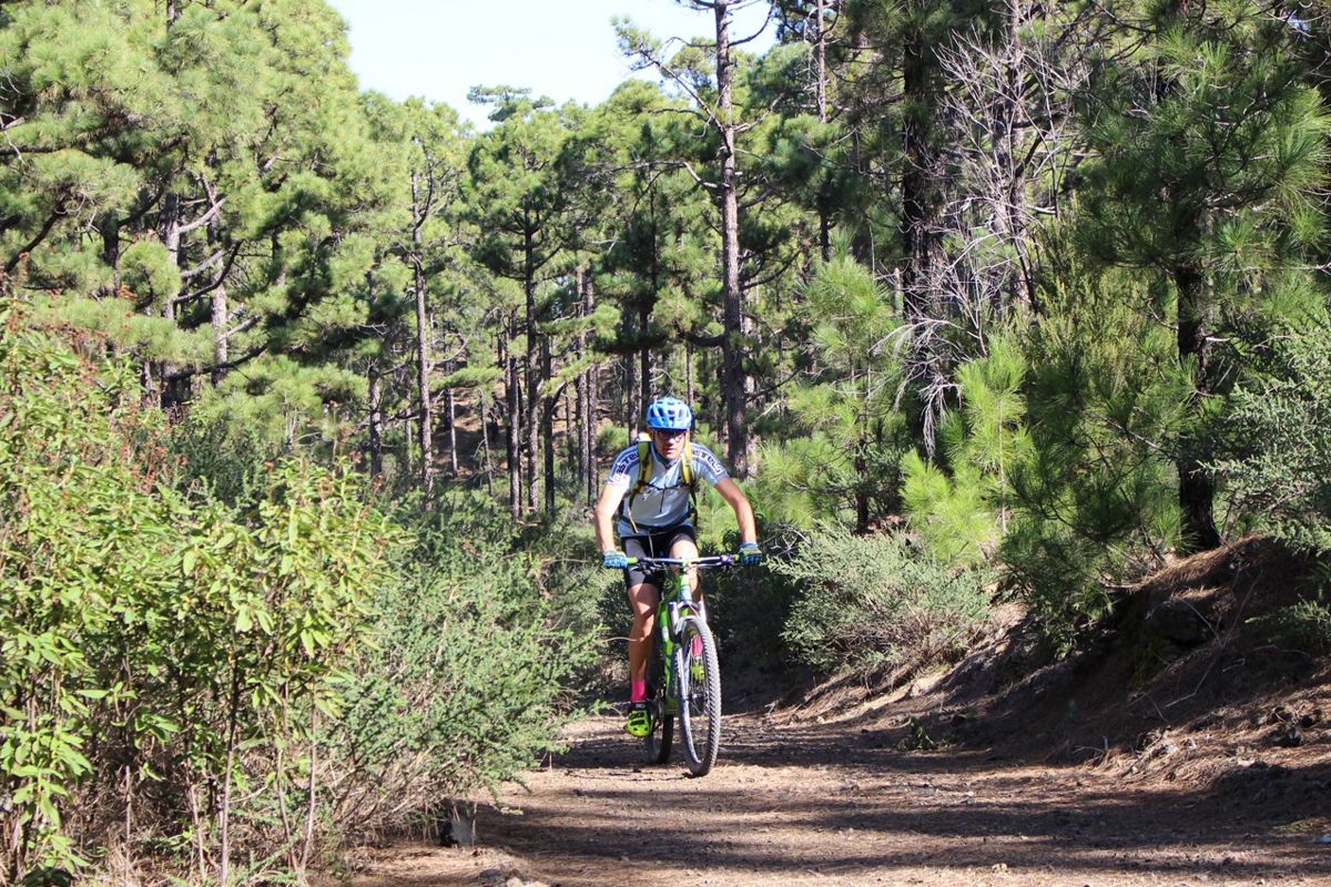 Persoon op een mountainbike op een pad omringd door dennenbomen op Tenerife.