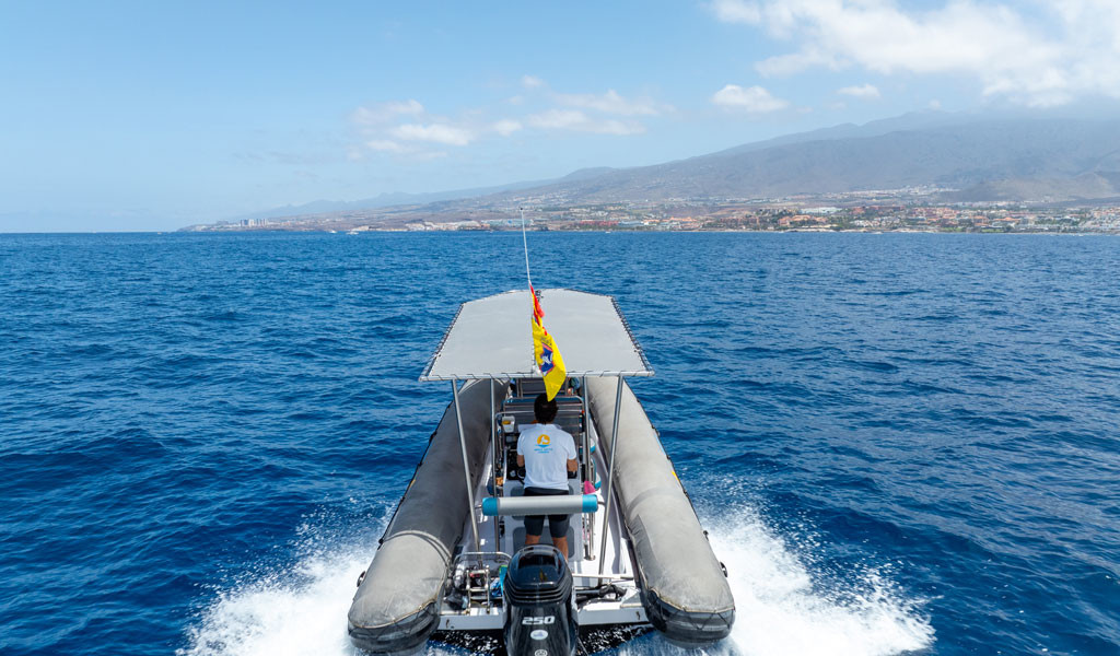 Boot op zee met uitzicht op de kust van Tenerife.
